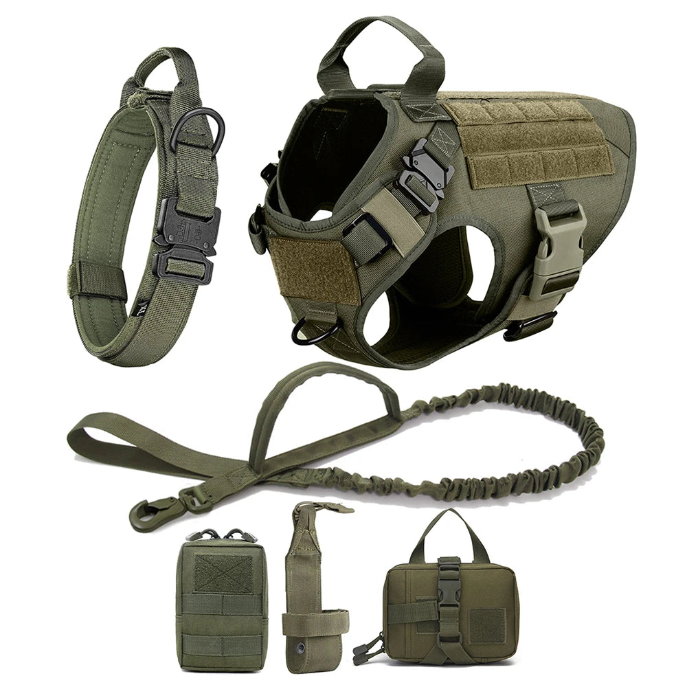 harnais pour chien ensemble complet