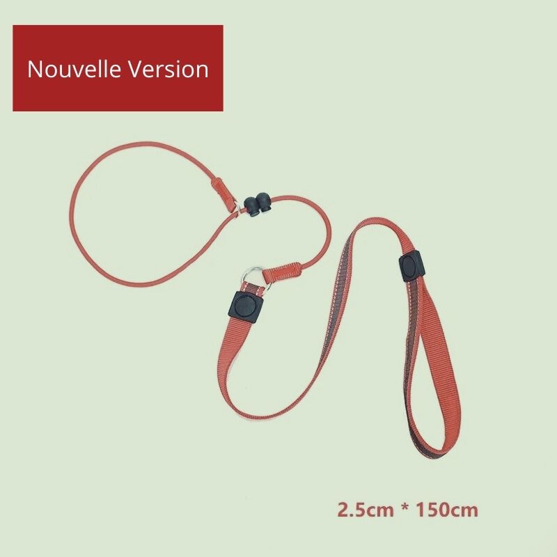 laisse pour chien dressage rouge