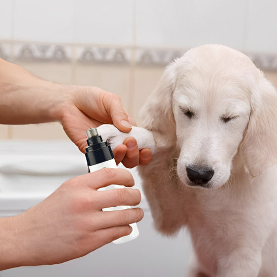 lime à griffe sécurité