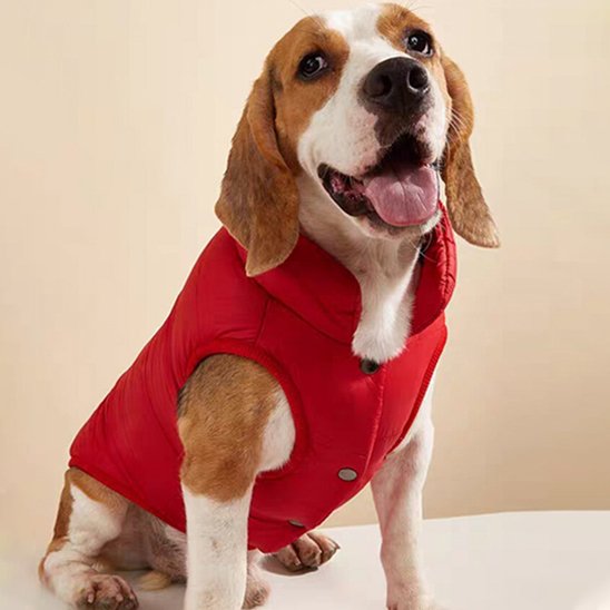Manteau pour chien | Wintercoat™