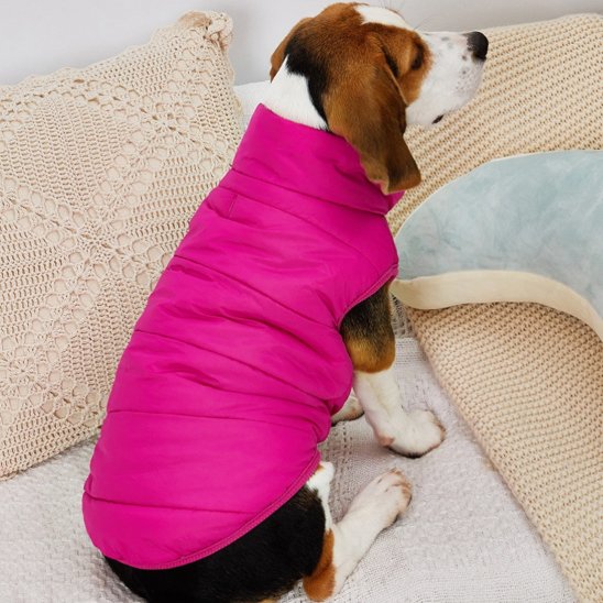 Manteau pour chien | Wintercoat™