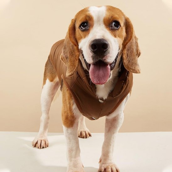 Manteau pour chien | Wintercoat™