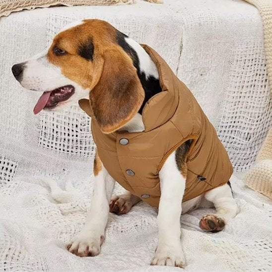 Manteau pour chien | Wintercoat™