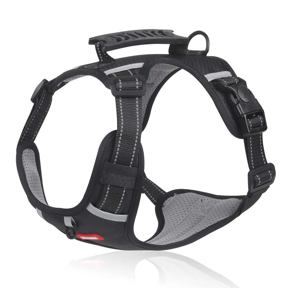 Harnais anti-traction - Safety Harness ™