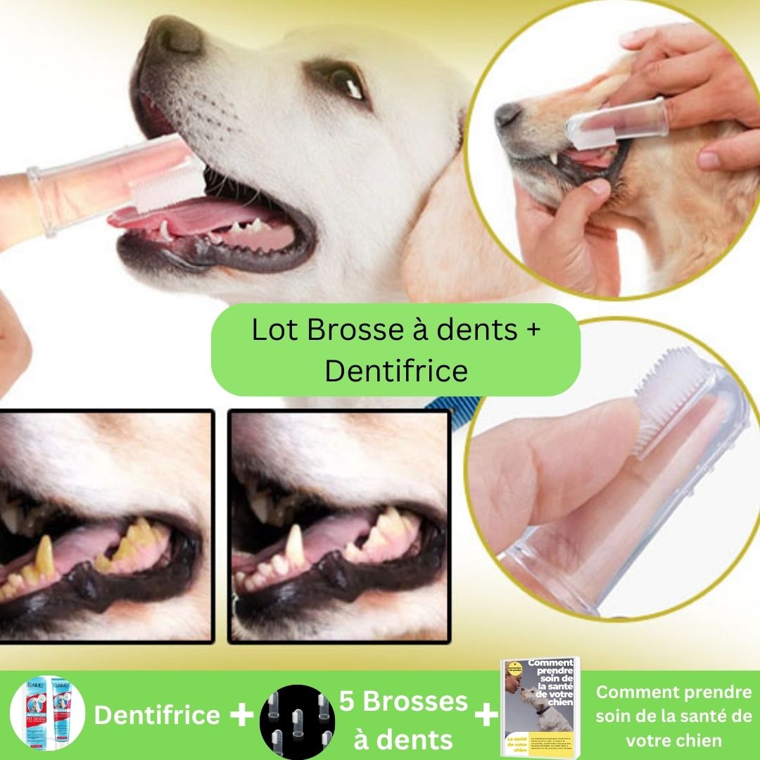 Brosse à dents chien éfficace