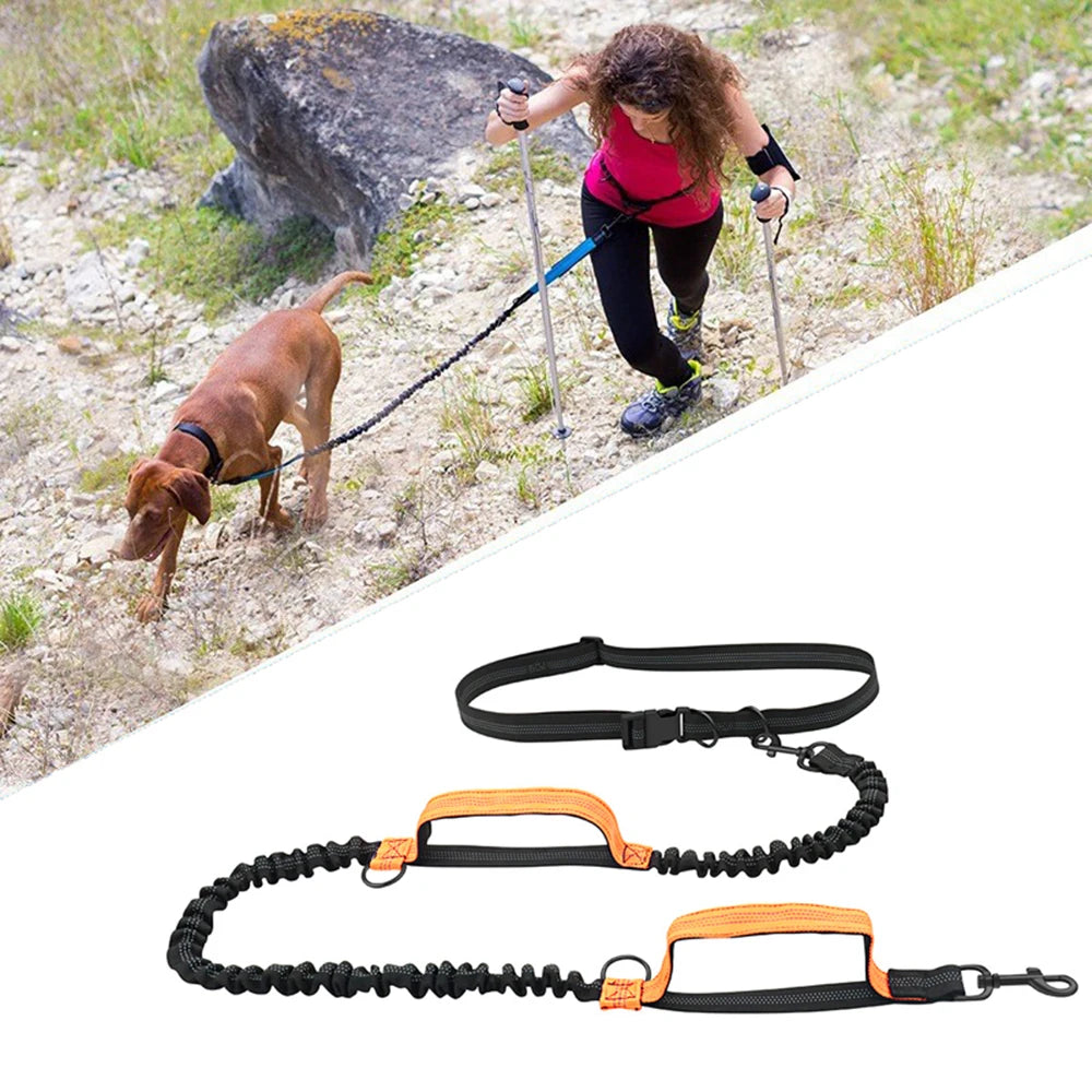 Laisse Mains libres | FreeLeash™