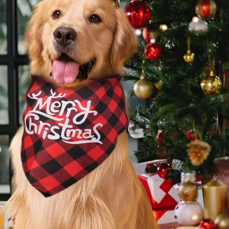 Bandana Noël | ChristmasBandana™