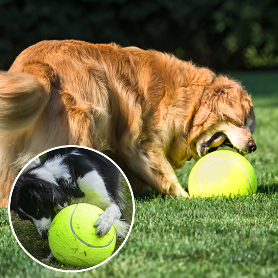 Balle de tennis géante | GiantBall™