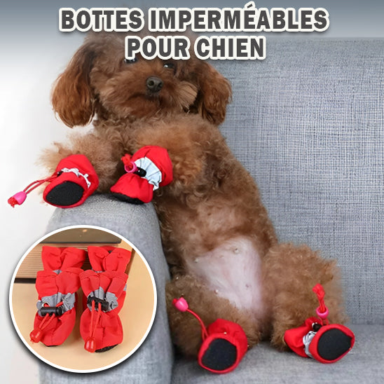 Chaussures imperméables | DogShoes™