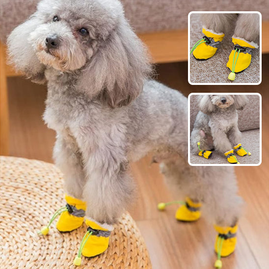 Chaussures imperméables | DogShoes™