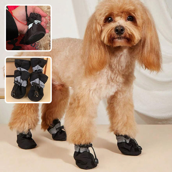 Chaussures imperméables | DogShoes™