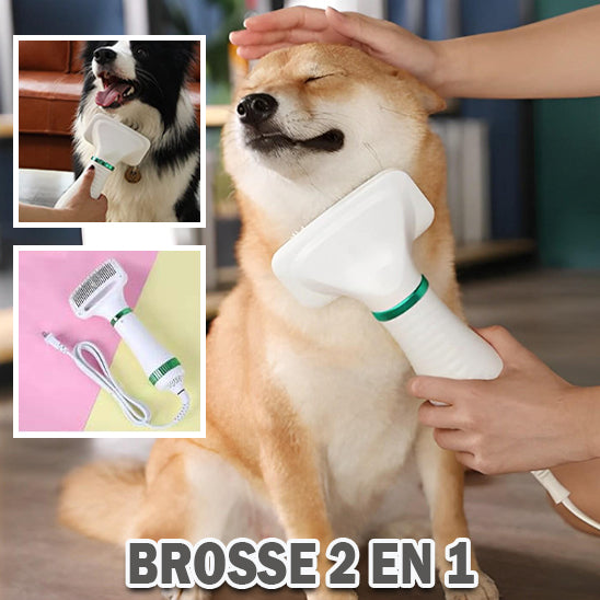 Sèche-cheveux et brosse | Brushanddry™