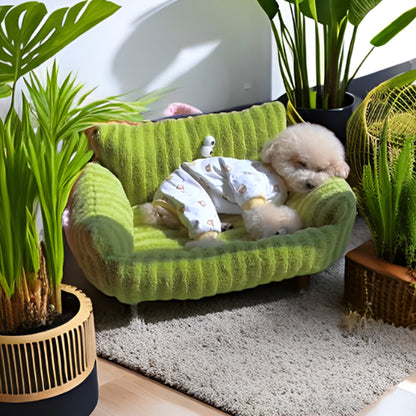 canape pour chien hygienique