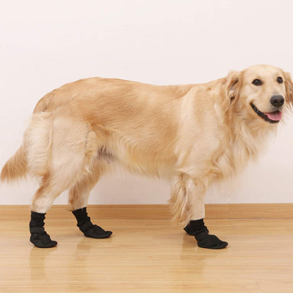 chaussures chien hiver ete
