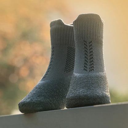 chaussures pour chien
