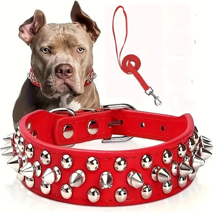 collier chien robuste