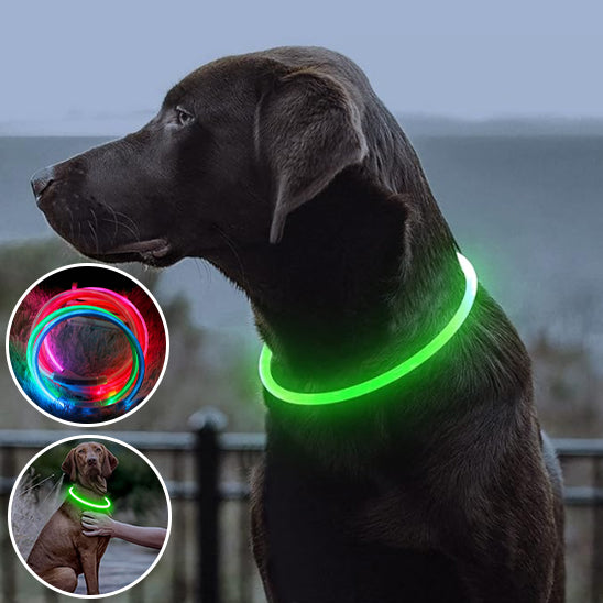 Collier lumineux rechargeable | Doglight™