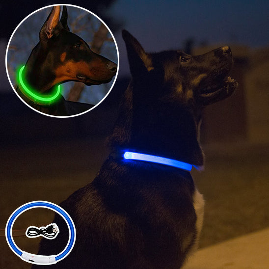 Collier lumineux rechargeable | Doglight™