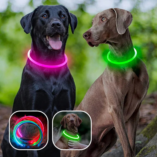 Collier lumineux rechargeable | Doglight™