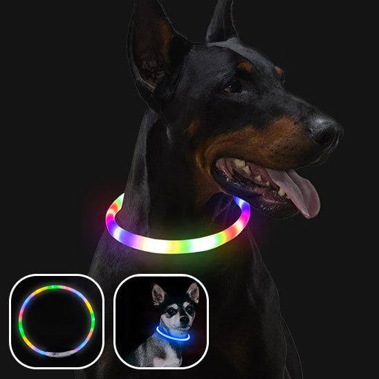 Collier lumineux rechargeable | Doglight™