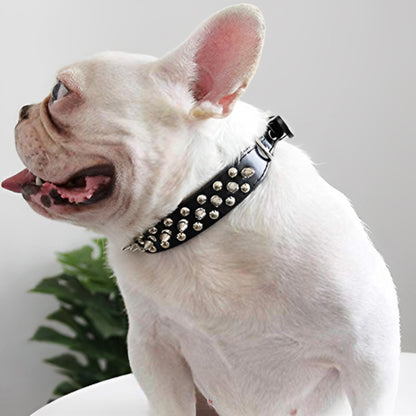 Collier pour chien | SpikyLace™