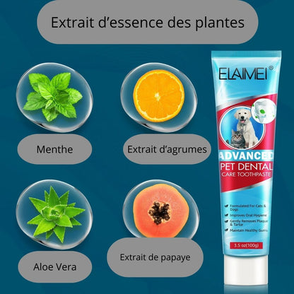 Brosse à dents douce | TeethBrush™