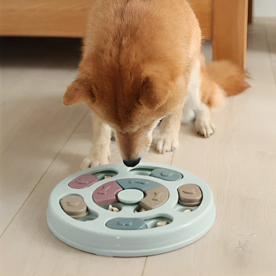 Distributeur de croquettes | FoodDispenser™