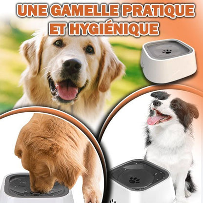 Gamelle anti-éclaboussures pour chien | NoSplash™ - News-for-dog.com