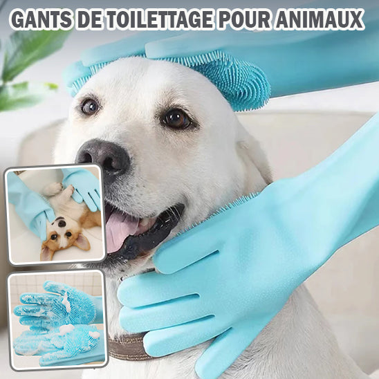 Gants de toilettage | GroomingGloves™