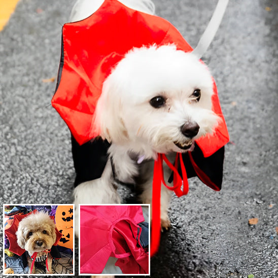 Costume pour chien | HalloweenSuit™