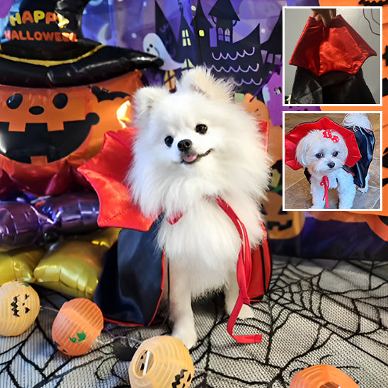 Costume pour chien | HalloweenSuit™