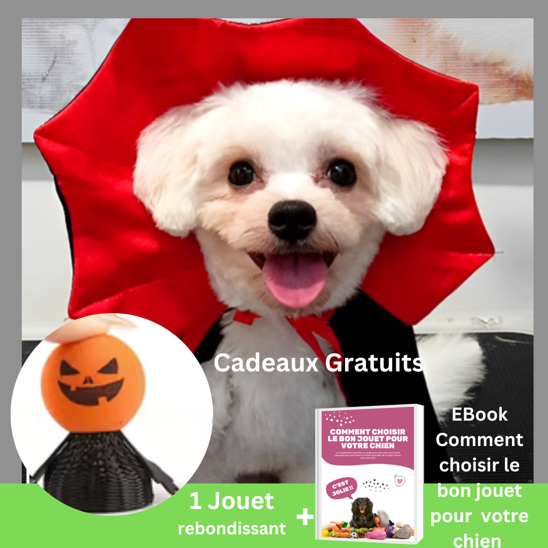 Costume pour chien | HalloweenSuit™