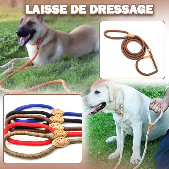 Laisse de dressage | TrainingLeash™