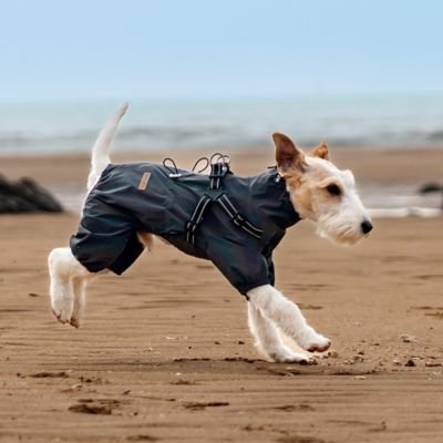 imperméable pour chien