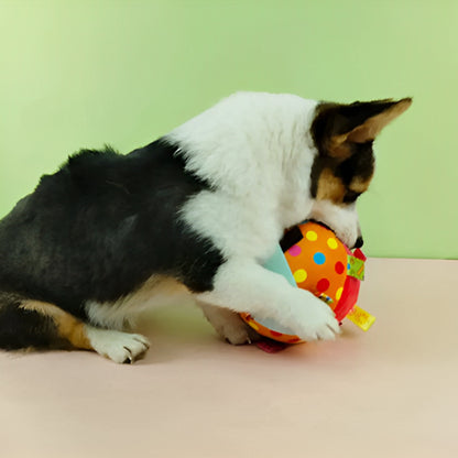 jouet pour chien contre lennui