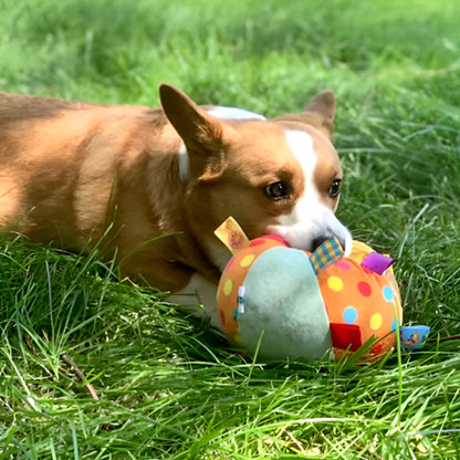 jouet pour chien robuste