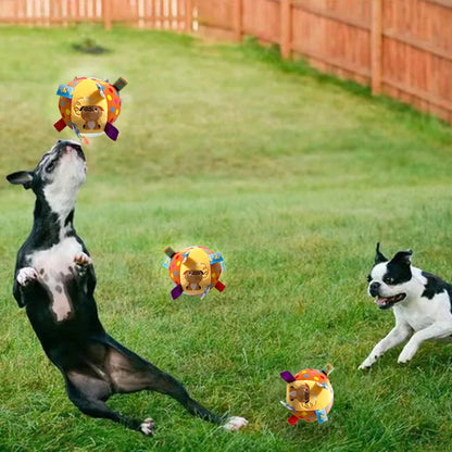 jouet pour chiens actifs