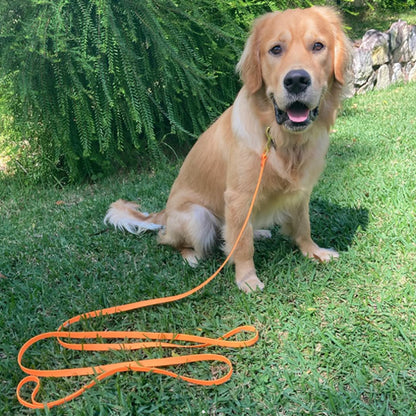 laisse pour chien dressage rappel