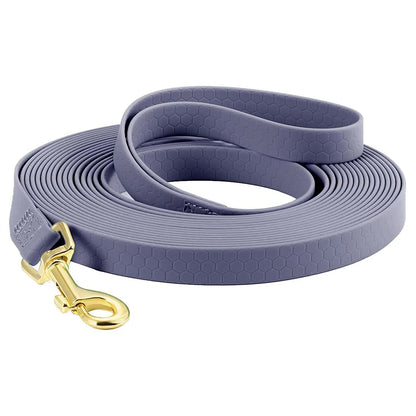 laisse pour chien grise