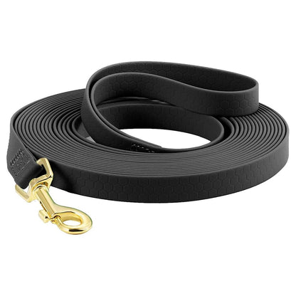 laisse pour chien noir