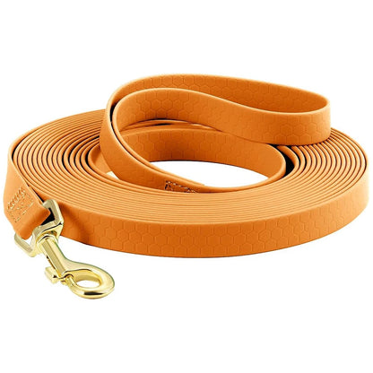 laisse pour chien orange