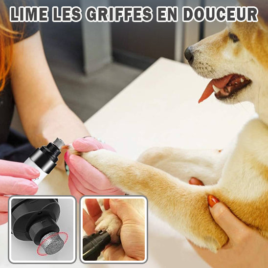 Lime à Griffe éléctrique | ClawFile™