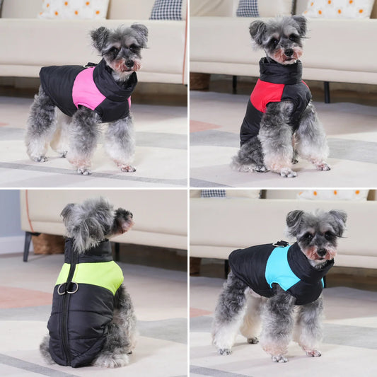 Manteau pour chien | Raincoat™