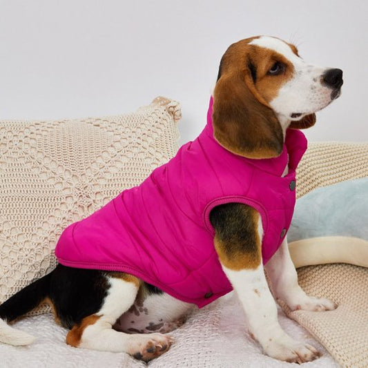 manteau pour chien chaud