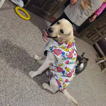 manteau pour chien confortable