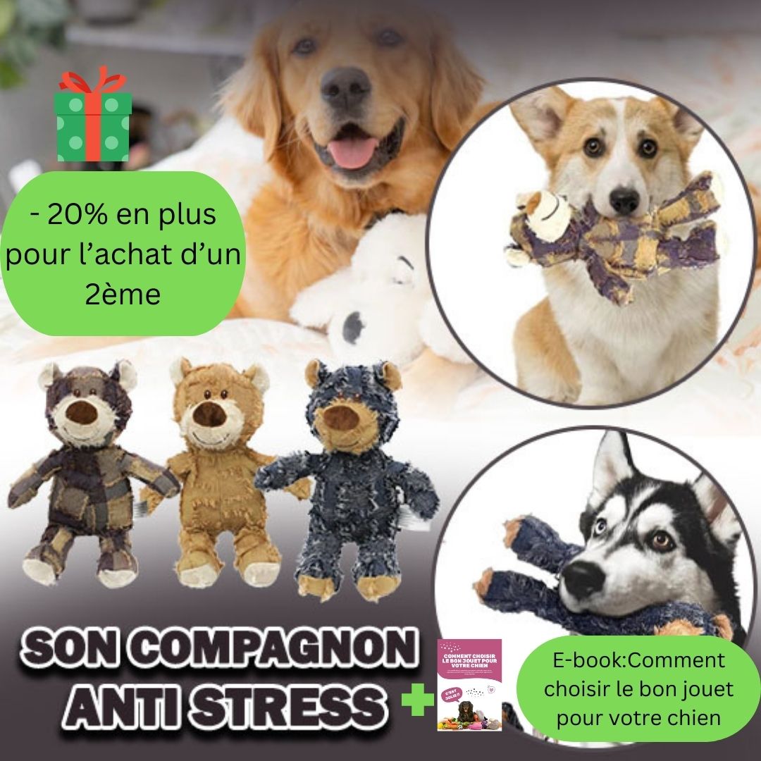 Ours Anti-Stress | FunnyBear™