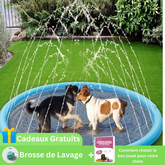 Piscine gonflable | Poolfountain™ - News-for-dog.com