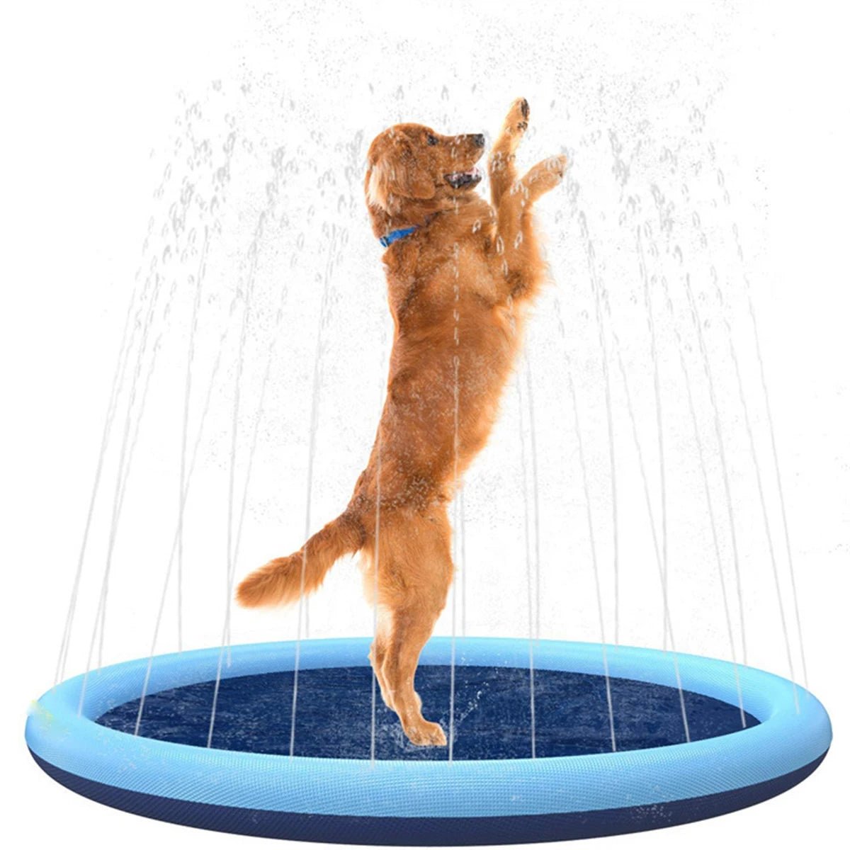 Piscine gonflable | Poolfountain™ - News-for-dog.com