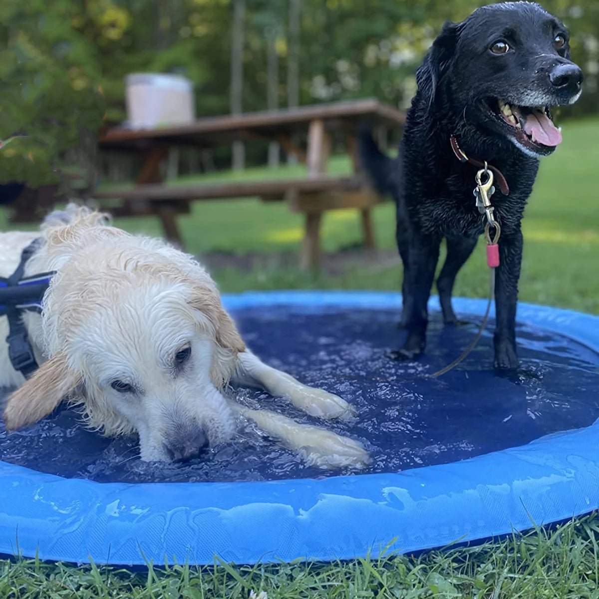 Piscine gonflable | Poolfountain™ - News-for-dog.com