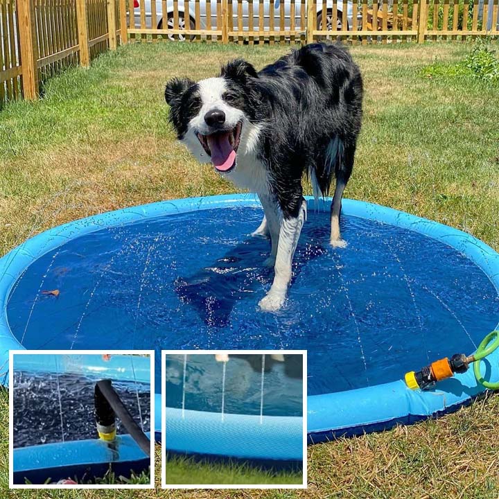 Piscine gonflable | Poolfountain™ - News-for-dog.com